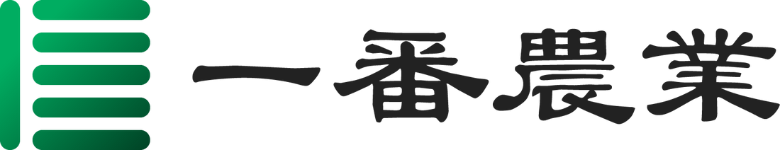 Matcha vs. Sencha: What’s the Real Difference?